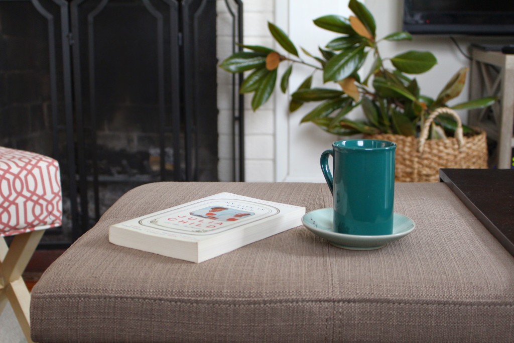 Coral and Teal Classic Living Room Interior Design